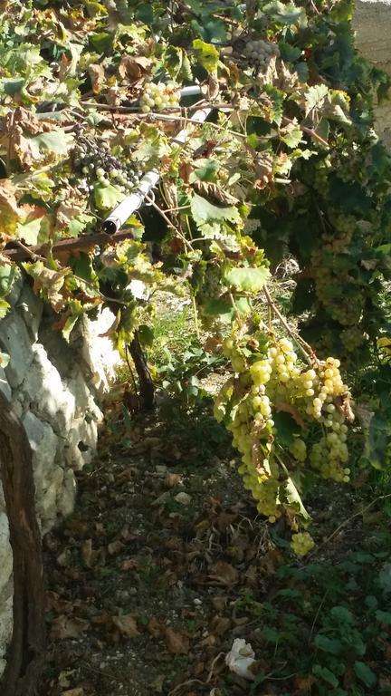 Sole E Fiori Di Sicilia Appartement Valderice Buitenkant foto