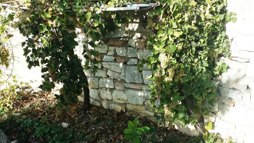 Sole E Fiori Di Sicilia Appartement Valderice Buitenkant foto